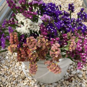 Bloom Bucket Deposit